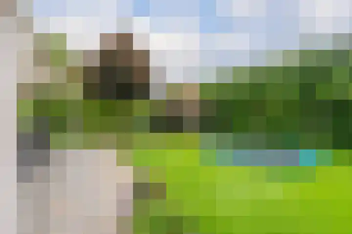 Sandelhout 10 Assen thumbnail 63