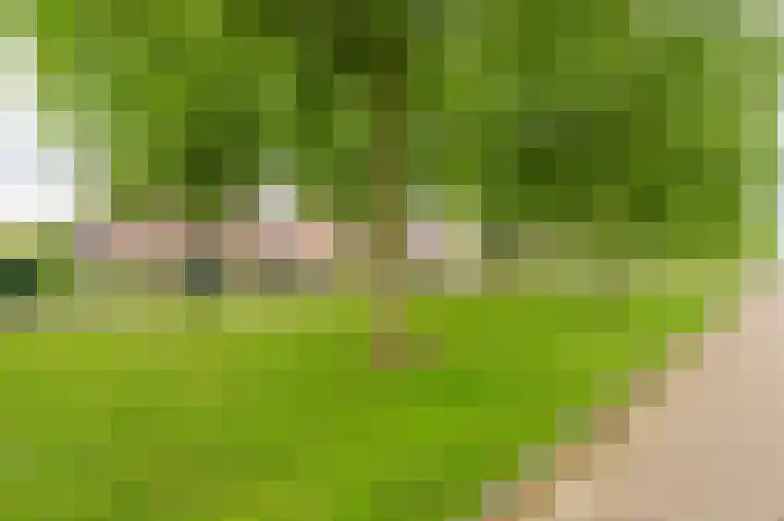 Sandelhout 10 Assen thumbnail 8