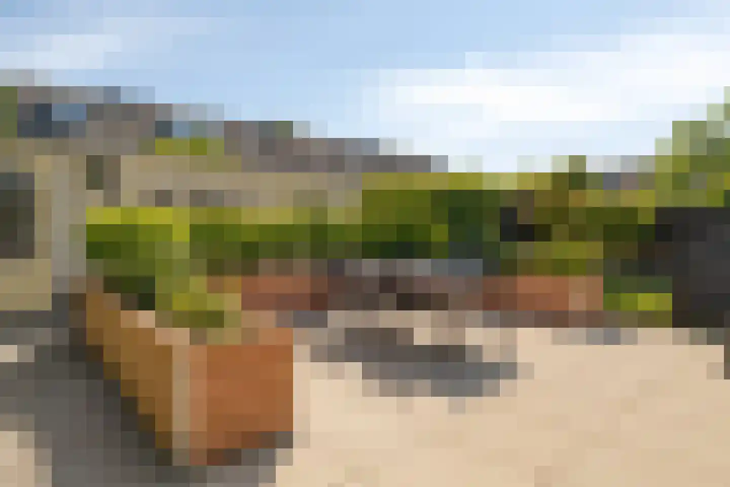Sandelhout 13 Barendrecht thumbnail 33