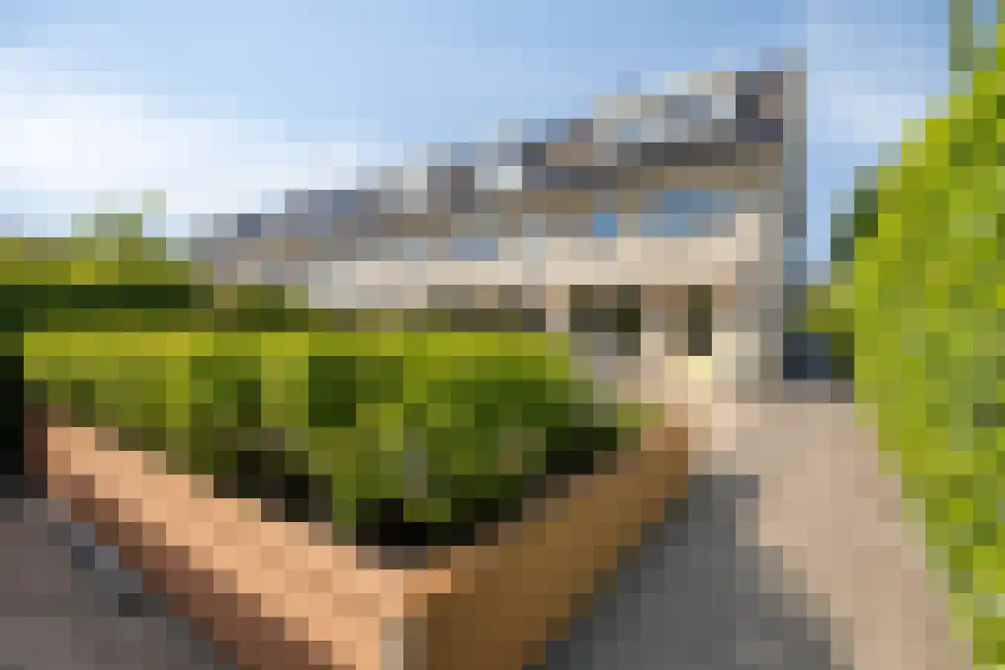 Sandelhout 13 Barendrecht thumbnail 34