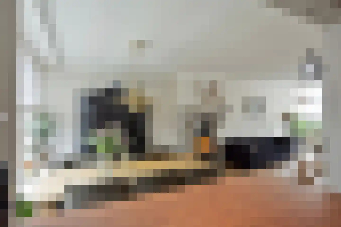 Sandelingenstraat 25 Hendrik-Ido-Ambacht thumbnail 13