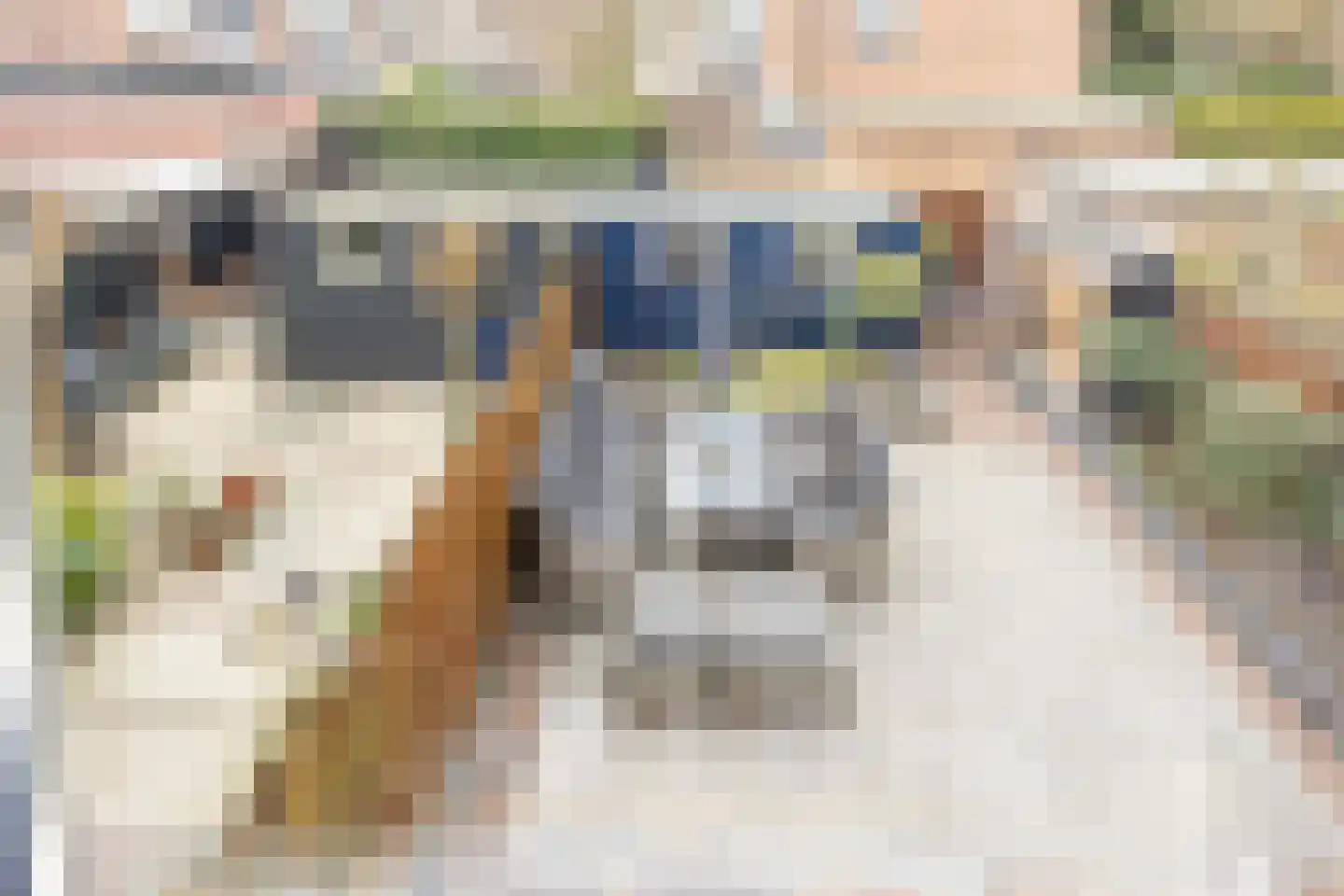Sandelingenstraat 25 Hendrik-Ido-Ambacht thumbnail 35