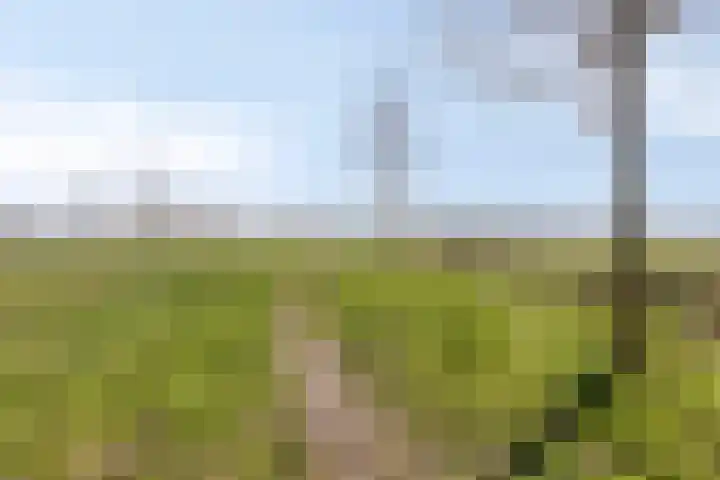 Sandelingeweg 10 Ridderkerk thumbnail 16