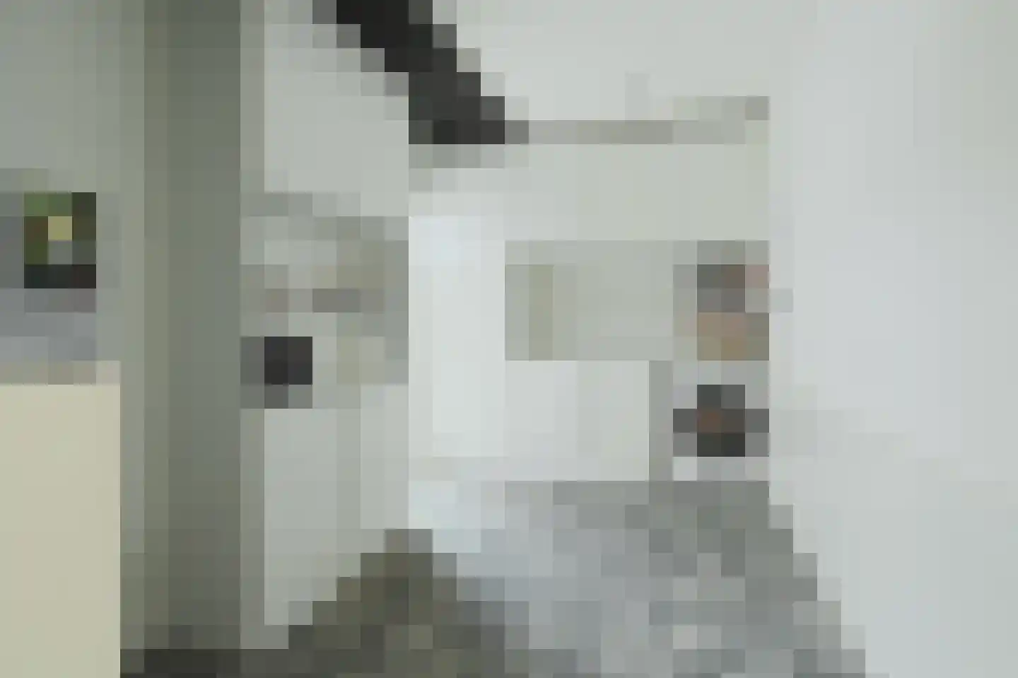 Sandelingeweg 10 Ridderkerk thumbnail 36