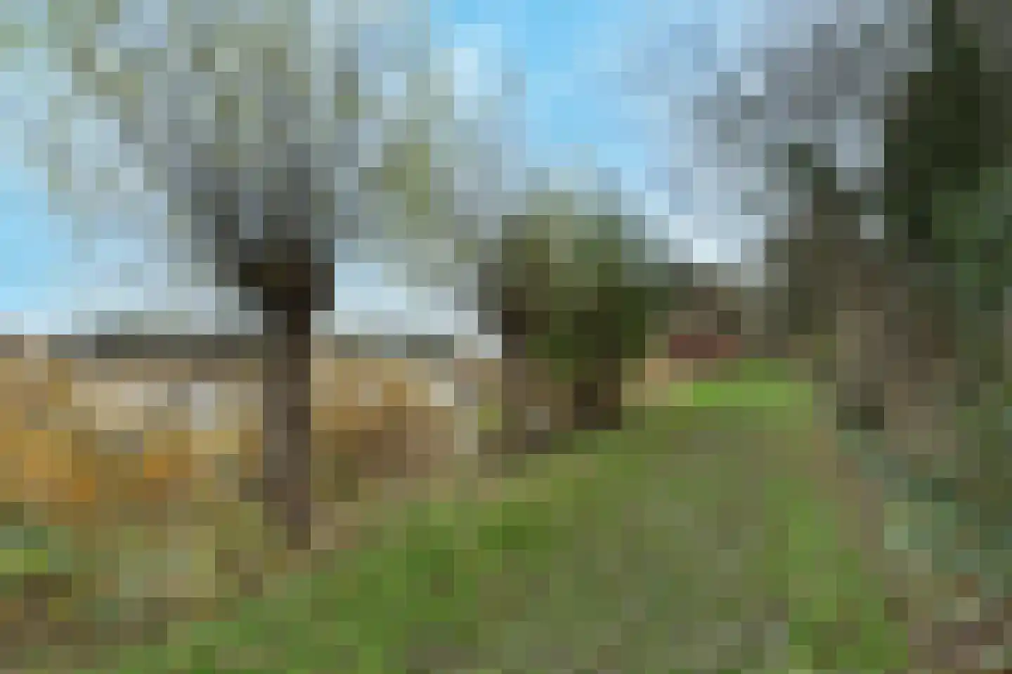 Sandelingeweg 10 Ridderkerk thumbnail 47