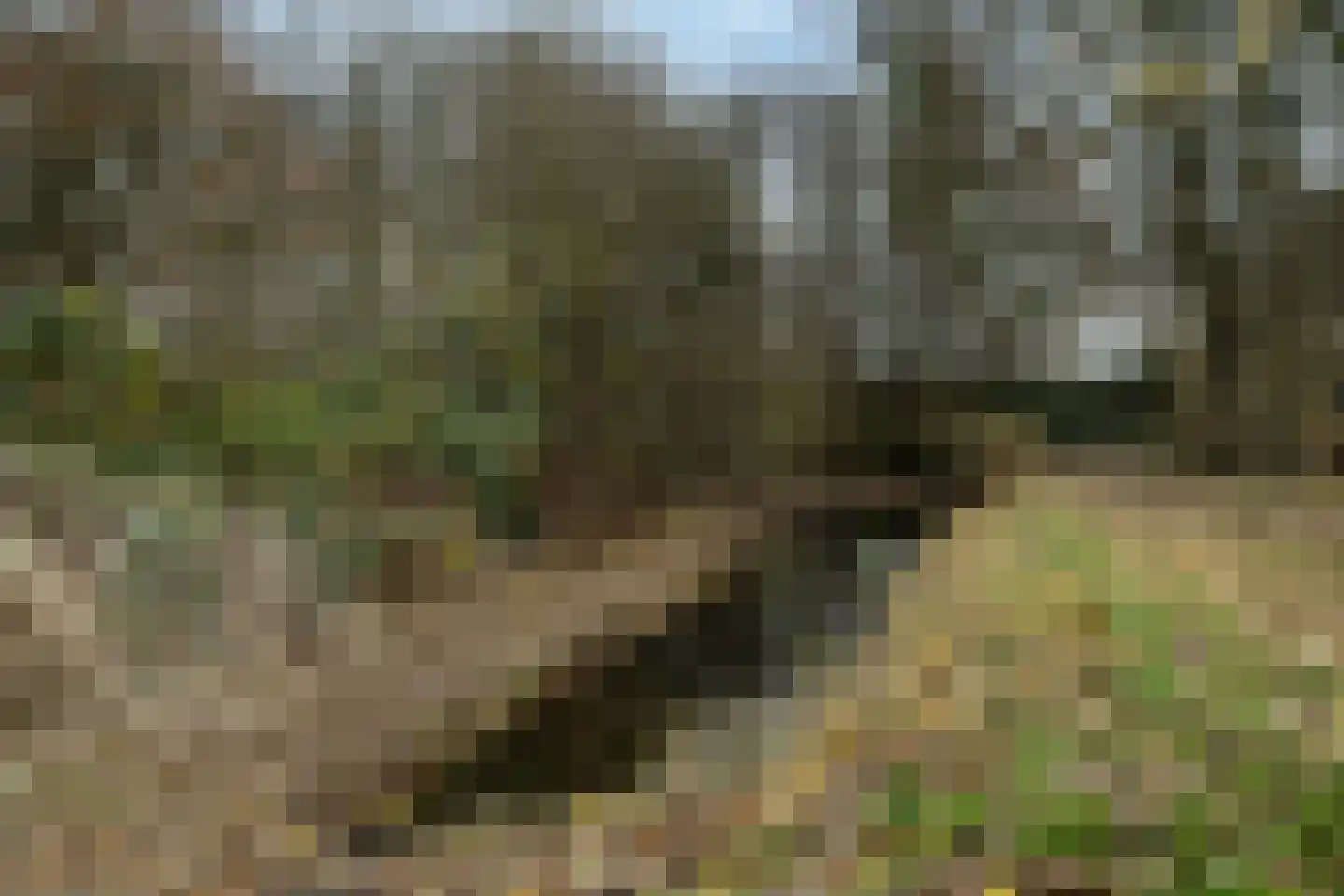 Sandelingeweg 10 Ridderkerk thumbnail 48