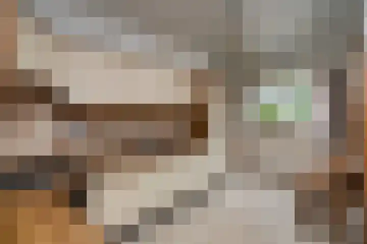 Sandelingeweg 2 Ridderkerk thumbnail 12