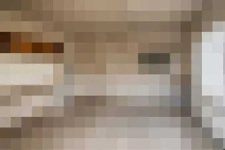 Sandelingeweg 2 Ridderkerk thumbnail 21