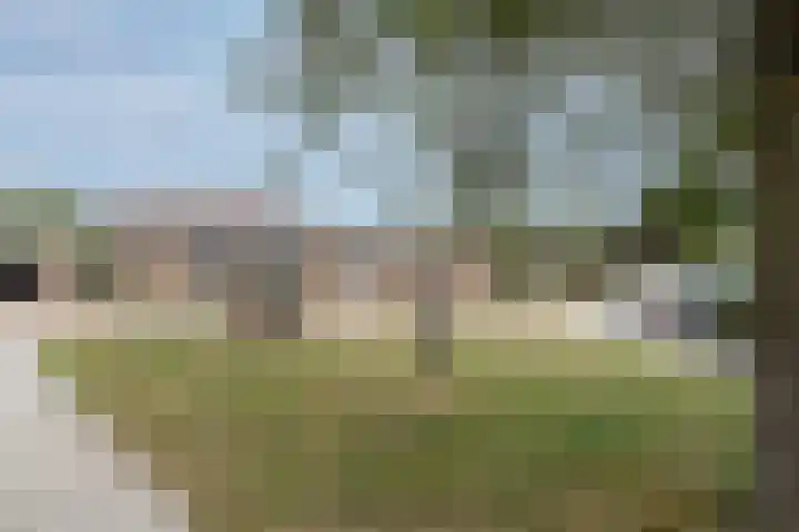 Sandelingeweg 2 Ridderkerk thumbnail 28