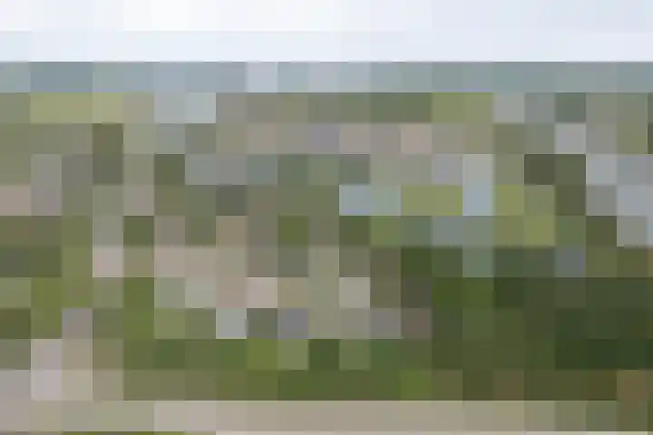Sandelingeweg 2 Ridderkerk thumbnail 29