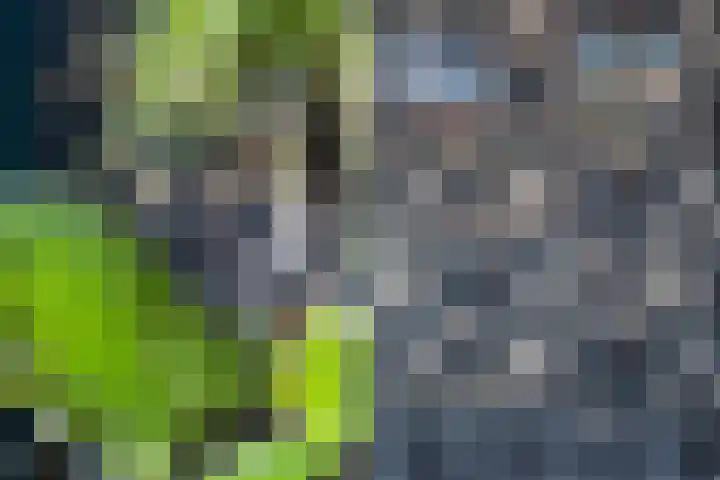 Sandenburg 107 Dordrecht thumbnail 11