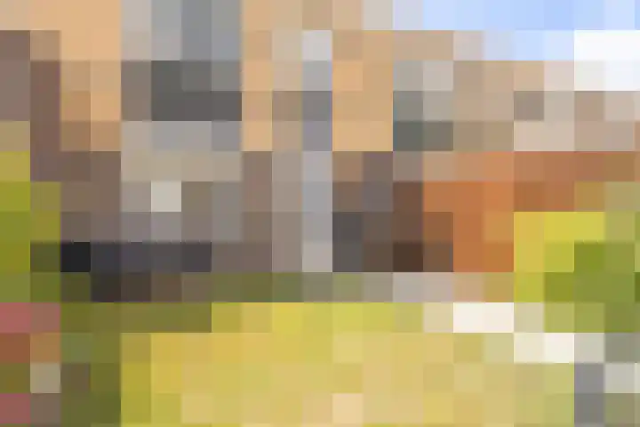Sandenburg 11 Alphen aan den Rijn thumbnail 23