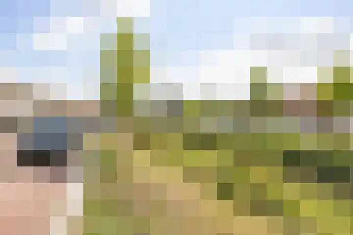 Sandenburg 11 Alphen aan den Rijn thumbnail 27