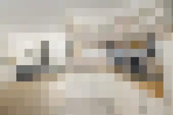 Sandenburg 11 Alphen aan den Rijn thumbnail 7