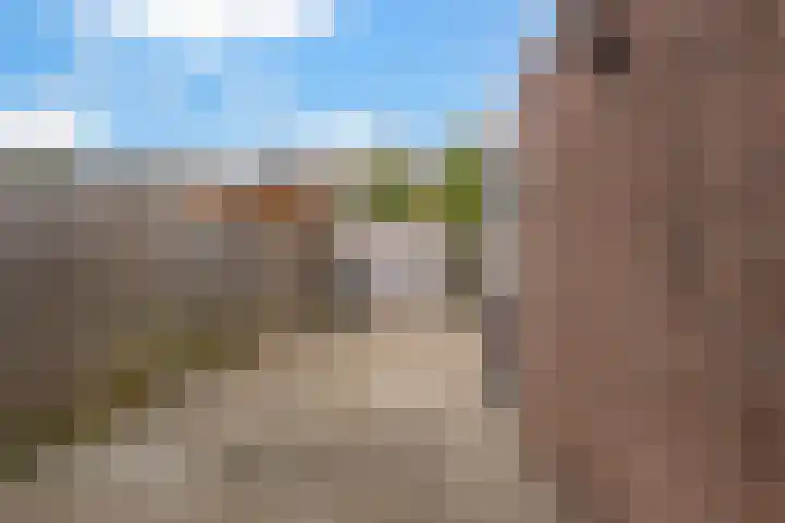 Sandenburg 12 Dordrecht thumbnail 22