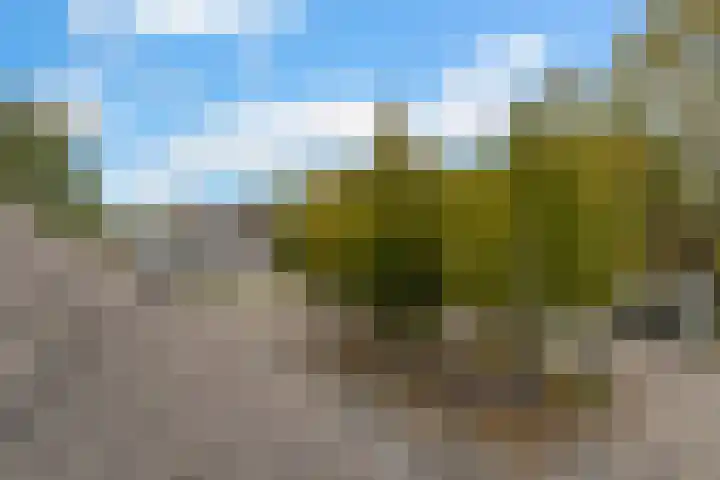 Sandenburg 12 Dordrecht thumbnail 26