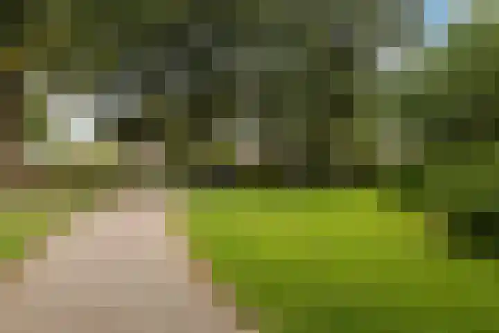Sandenburg 12 Dordrecht thumbnail 29