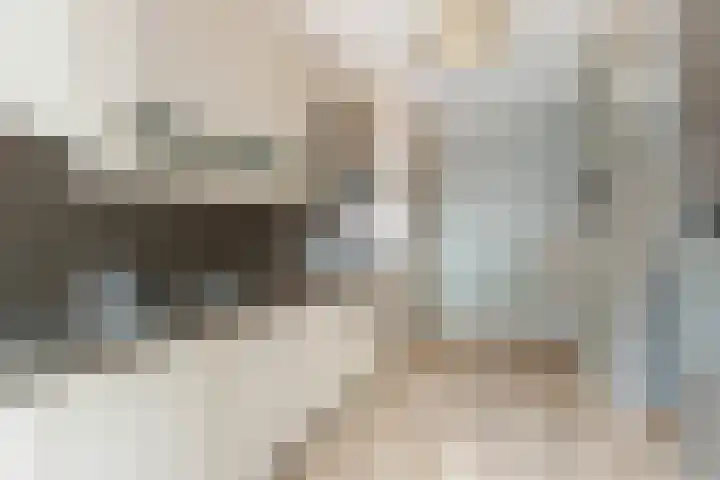 Sandenburg 12 Dordrecht thumbnail 4