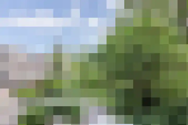 Sandenburg 123 Haarlem thumbnail 22