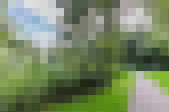 Sandenburg 123 Haarlem thumbnail 34
