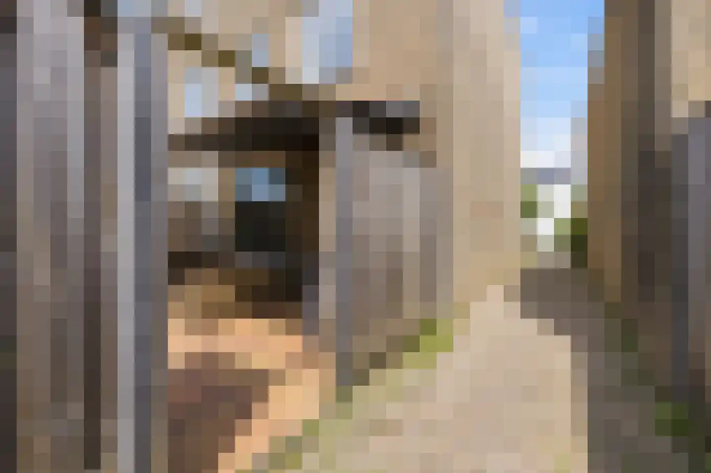 Sandenburg 15 Vlissingen thumbnail 23