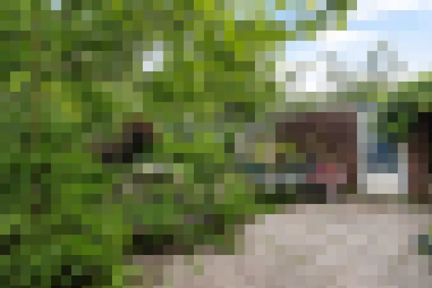 Sandenburg 156 Dordrecht thumbnail 18