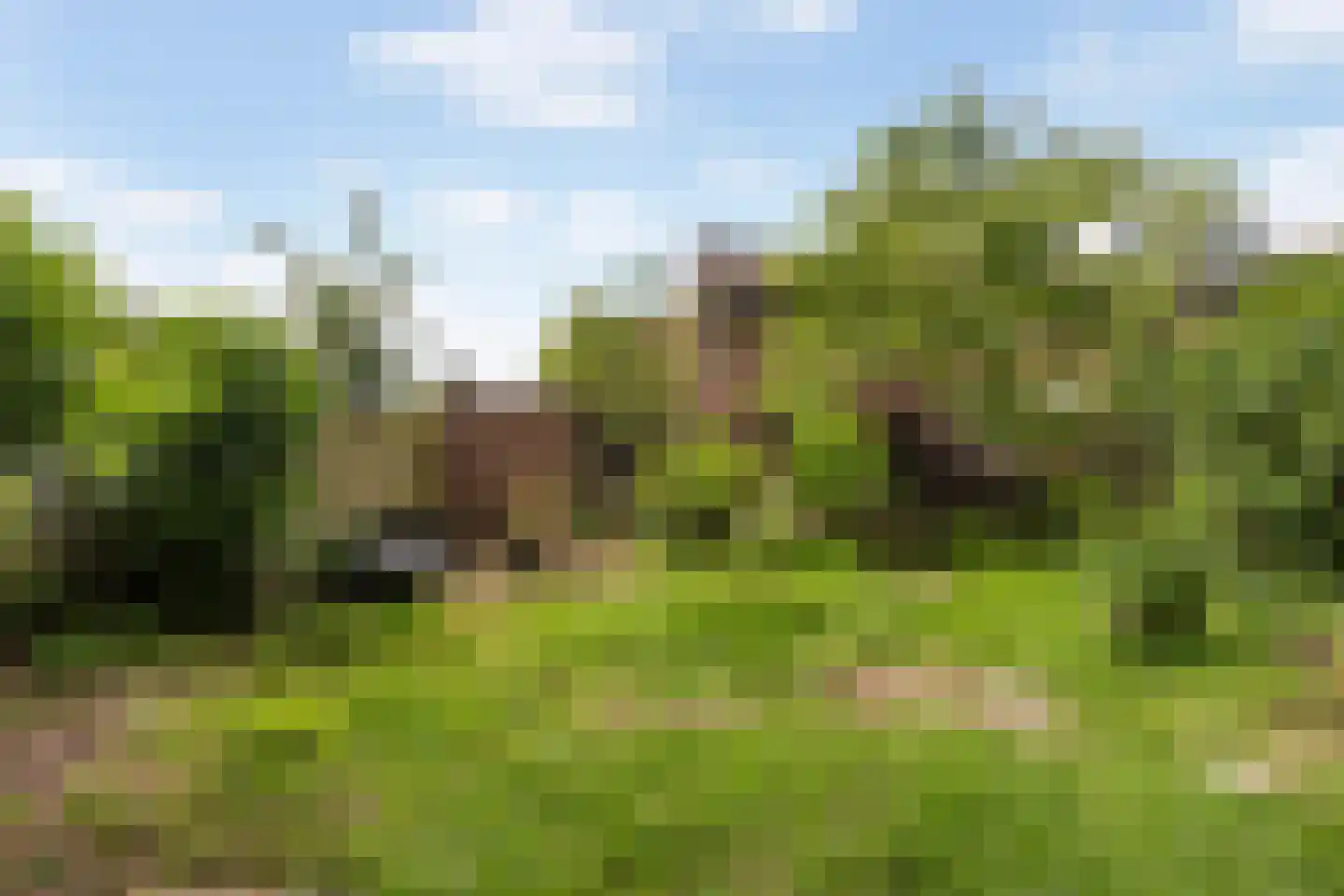 Sandenburg 156 Dordrecht thumbnail 27