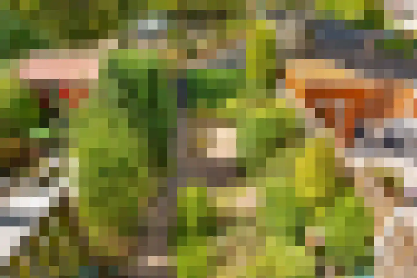 Sandenburg 158 Haarlem thumbnail 16