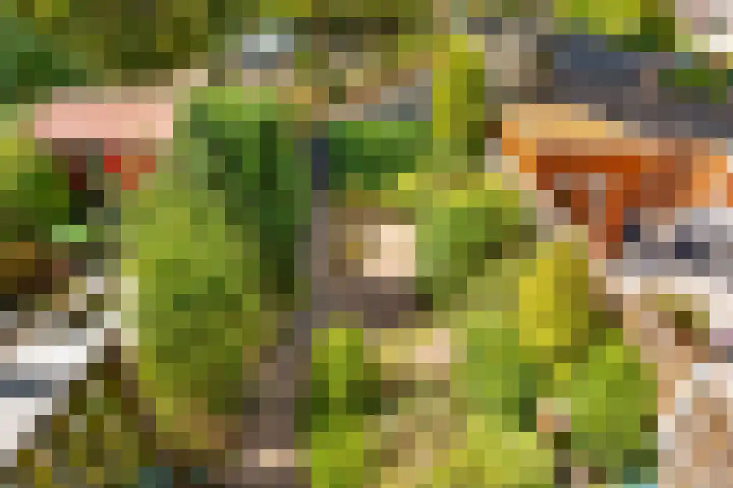 Sandenburg 158 Haarlem thumbnail 17