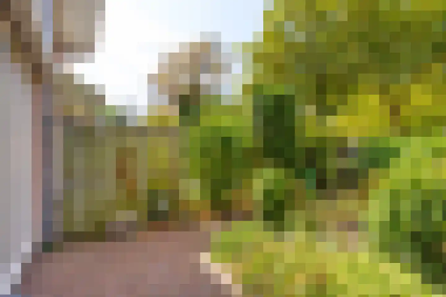 Sandenburg 158 Haarlem thumbnail 25