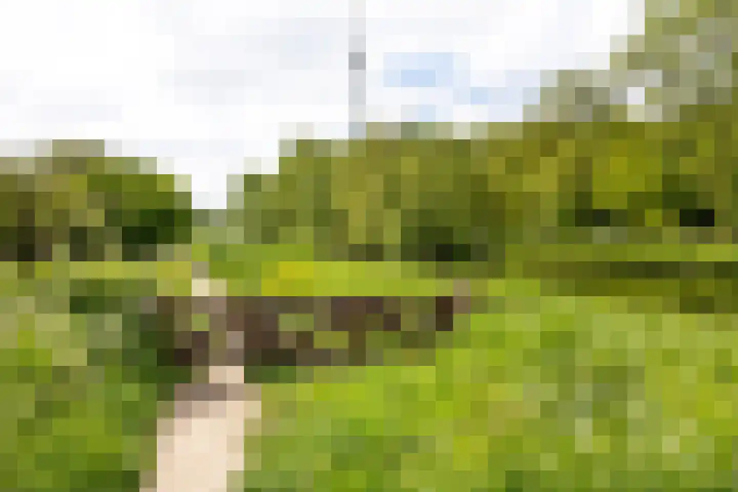 Sandenburg 166 Haarlem thumbnail 11