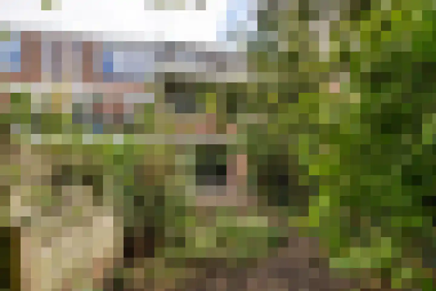 Sandenburg 166 Haarlem thumbnail 7