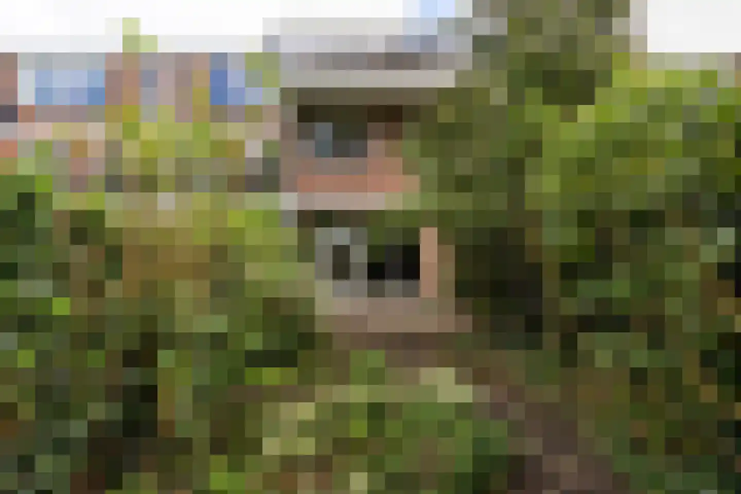 Sandenburg 166 Haarlem thumbnail 9
