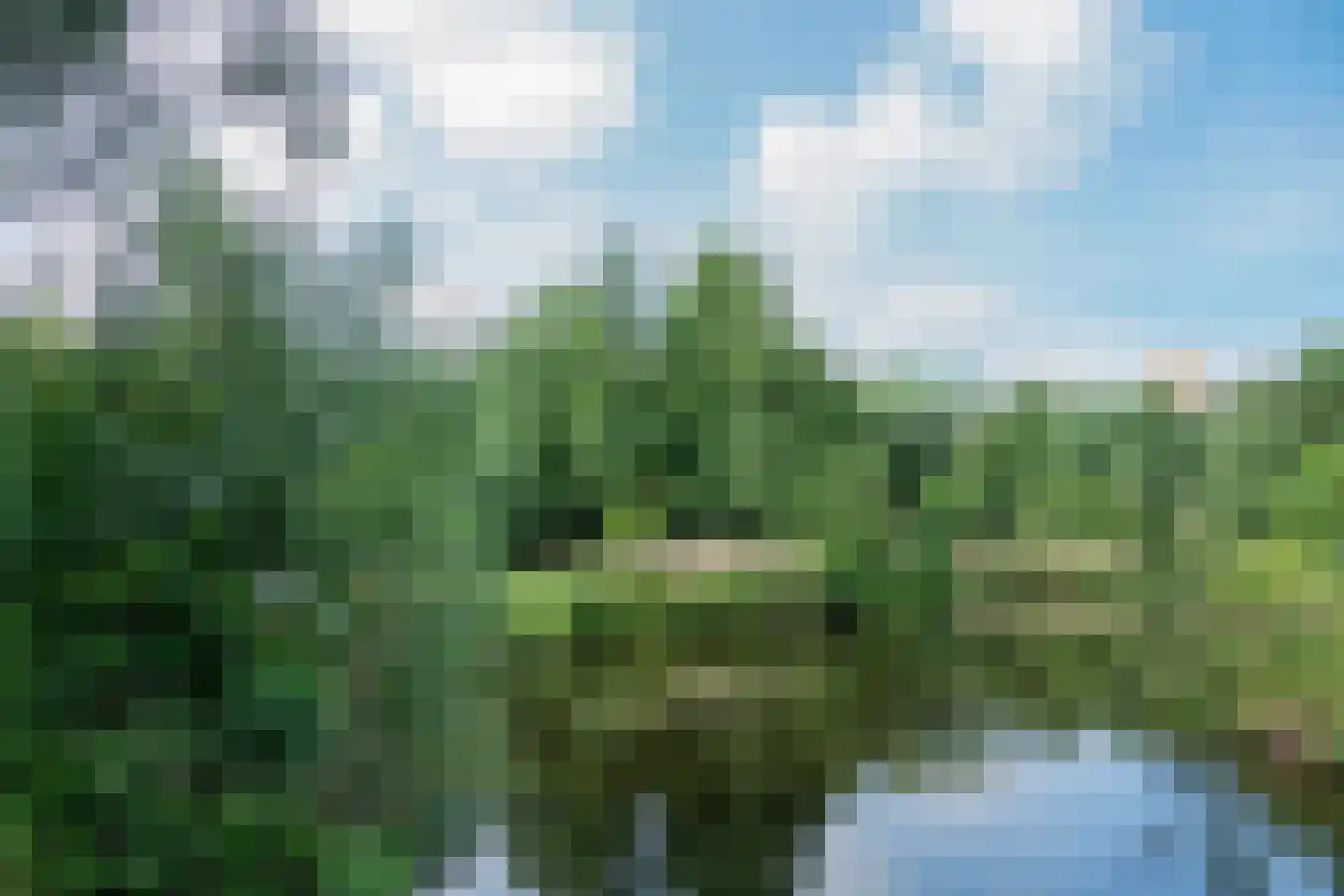 Sandenburg 167 Haarlem thumbnail 31