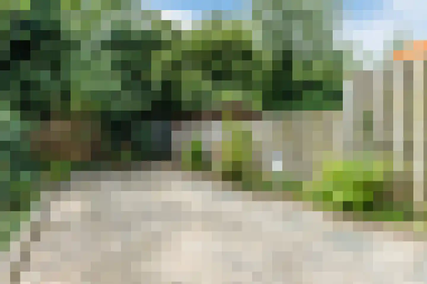 Sandenburg 176 Haarlem thumbnail 29