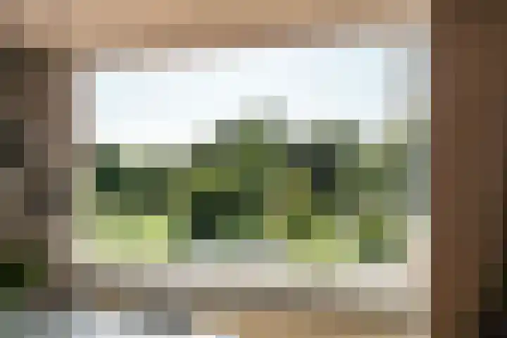 Sandenburg 18 Haarlem thumbnail 12