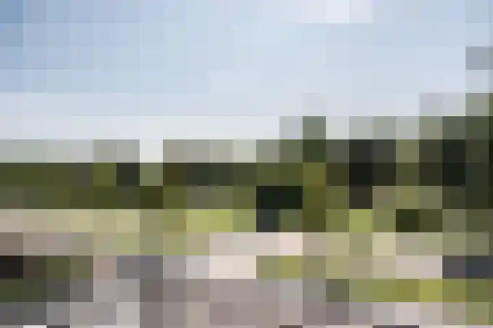 Sandenburg 18 Haarlem thumbnail 27
