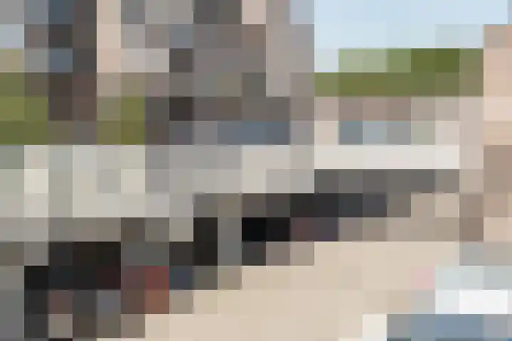 Sandenburg 18 Haarlem thumbnail 30