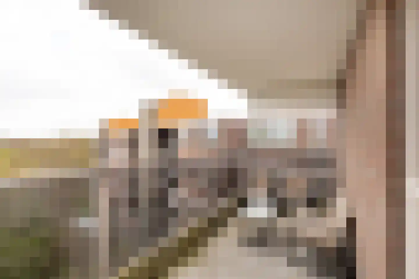 Sandenburg 207 Haarlem thumbnail 15