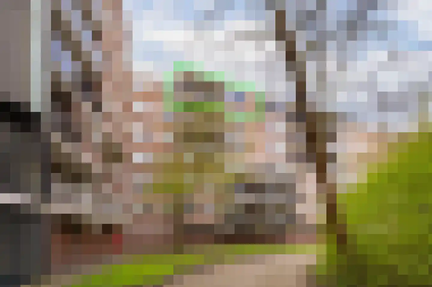 Sandenburg 207 Haarlem thumbnail 17