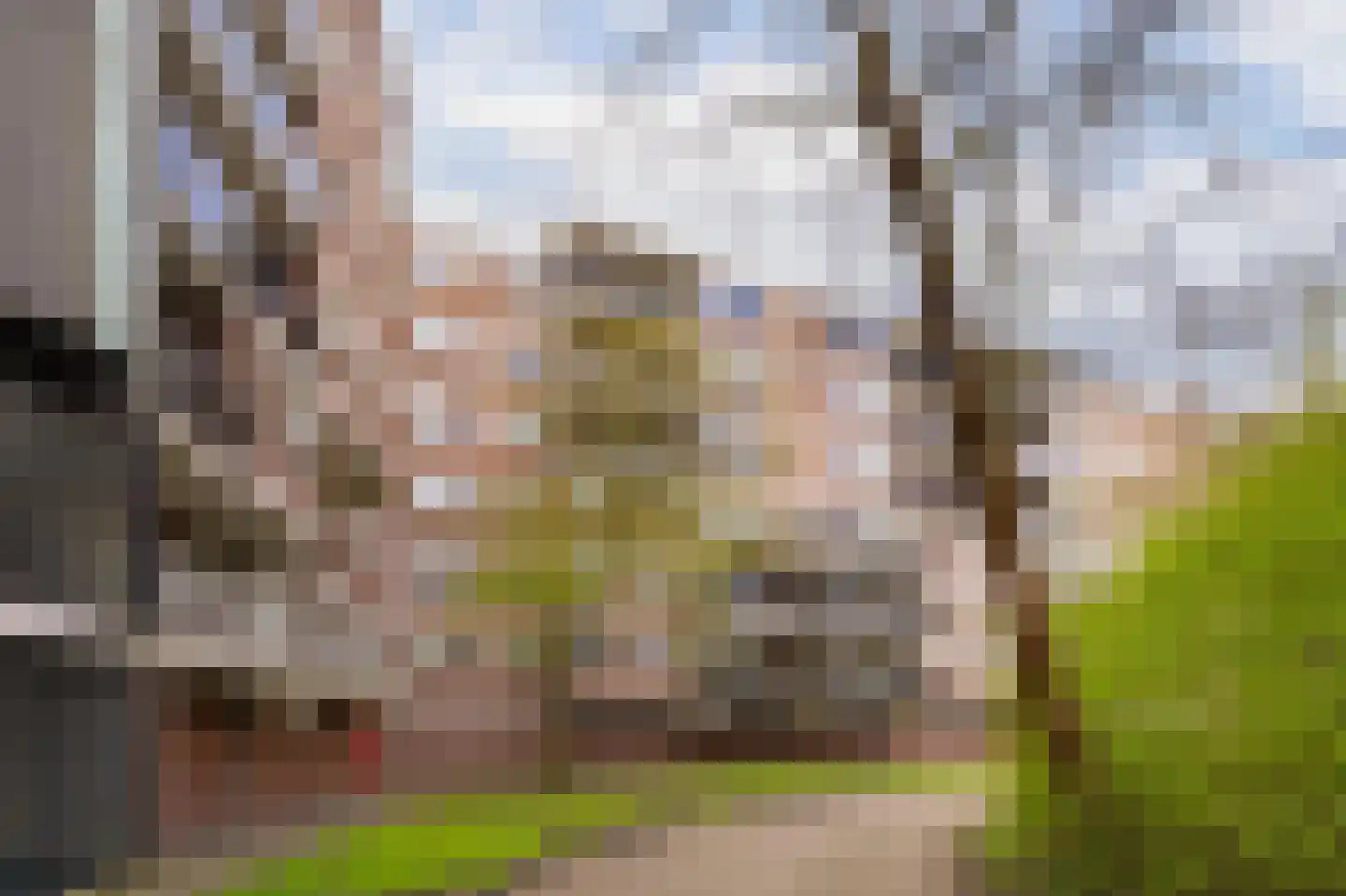 Sandenburg 207 Haarlem thumbnail 18