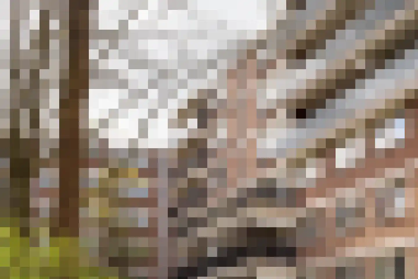 Sandenburg 207 Haarlem thumbnail 19