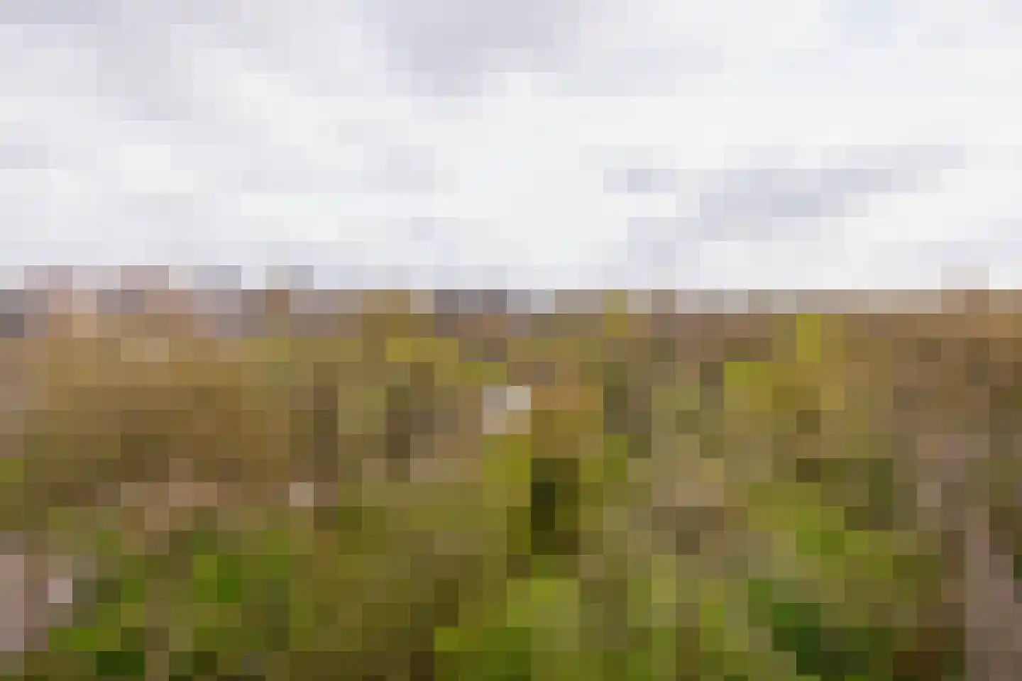 Sandenburg 207 Haarlem thumbnail 20
