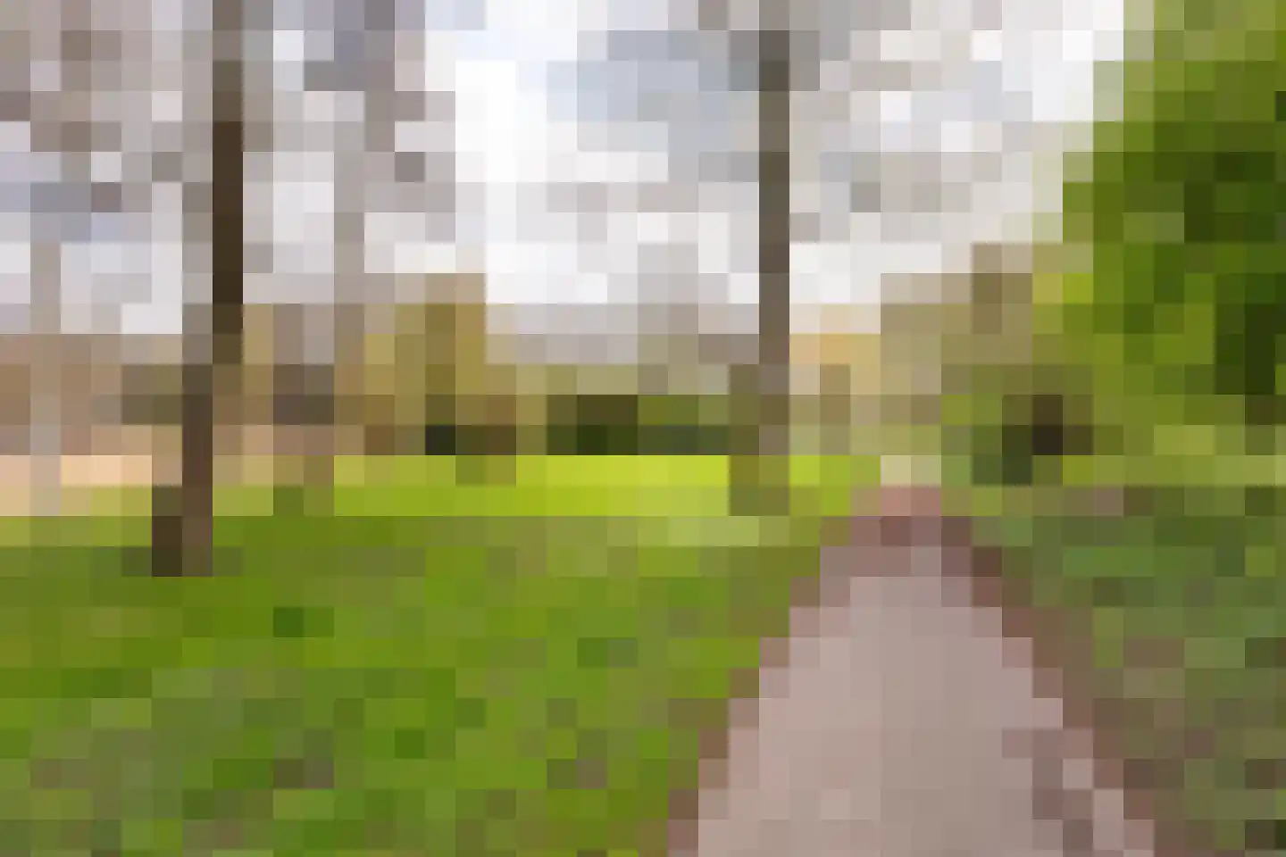 Sandenburg 207 Haarlem thumbnail 21