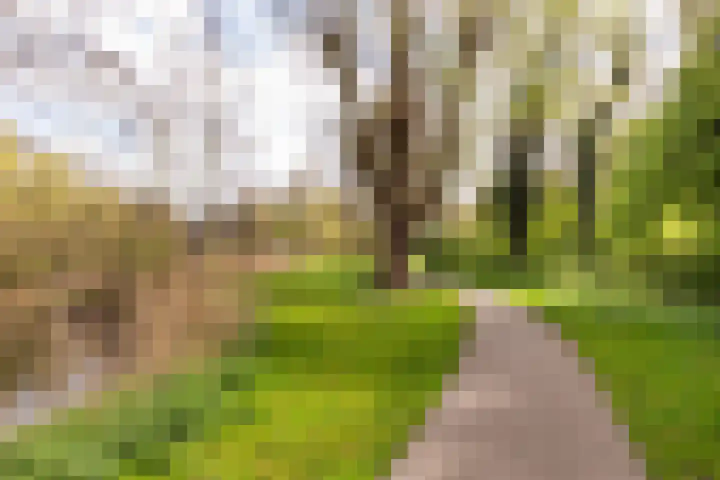Sandenburg 207 Haarlem thumbnail 22