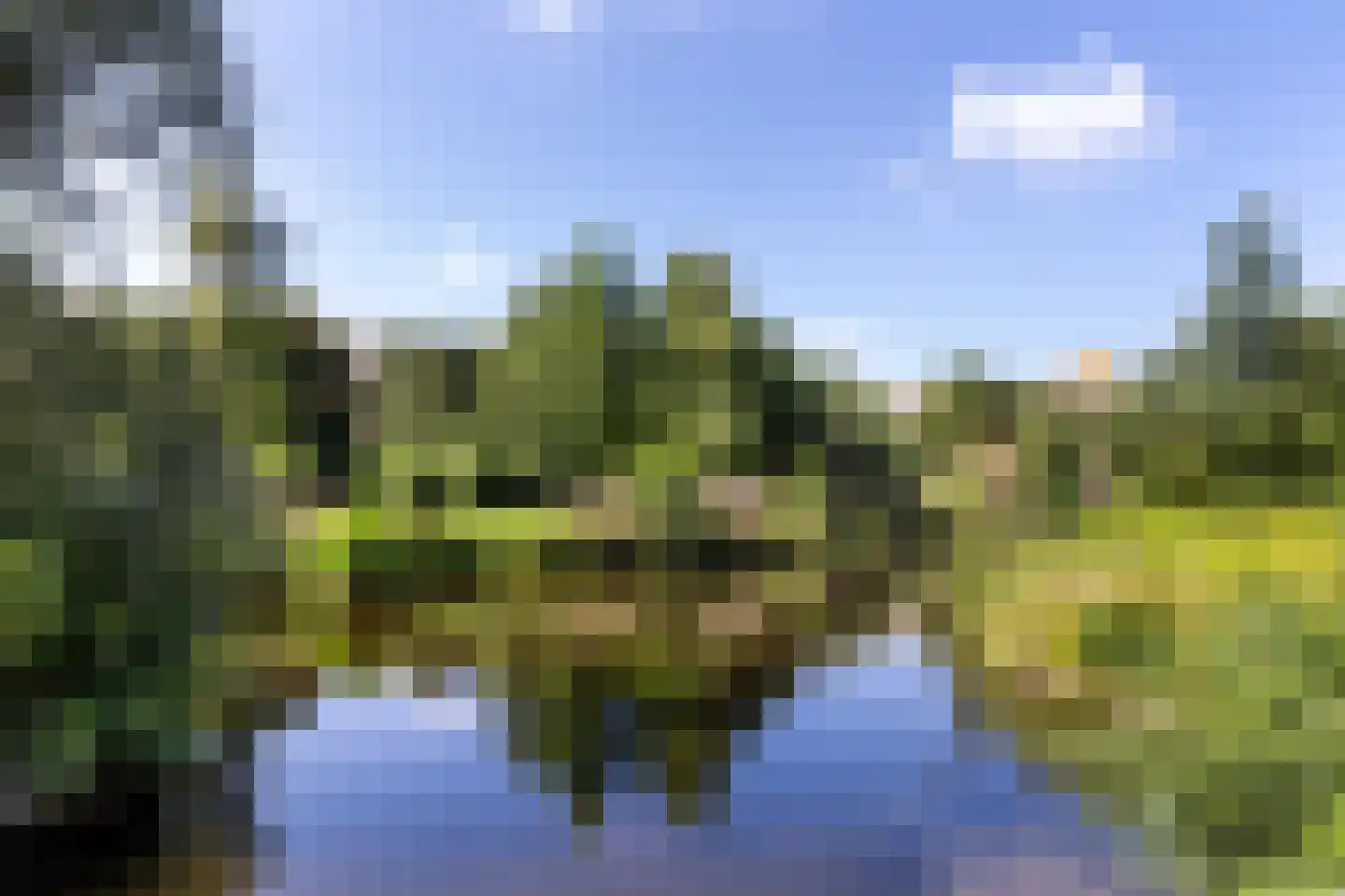 Sandenburg 207 Haarlem thumbnail 25