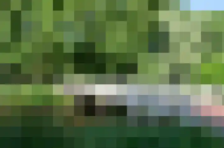 Sandenburg 21 Haarlem thumbnail 21