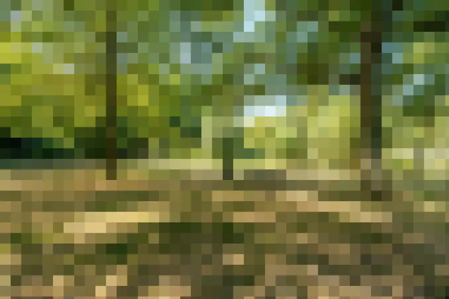 Sandenburg 233 Haarlem thumbnail 32