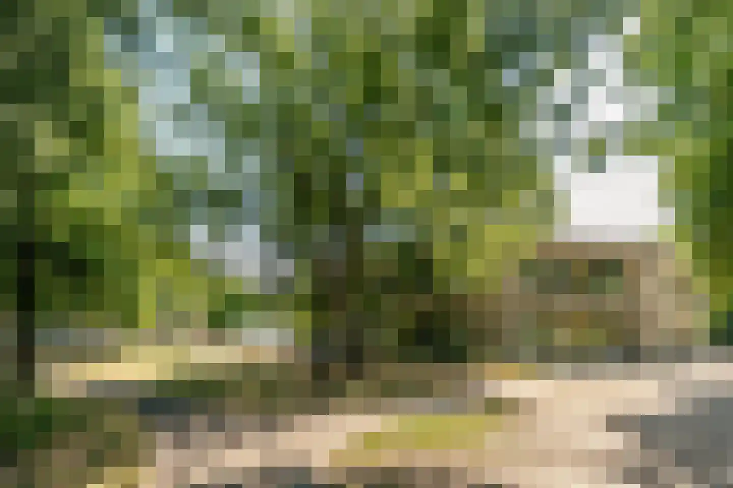 Sandenburg 233 Haarlem thumbnail 33