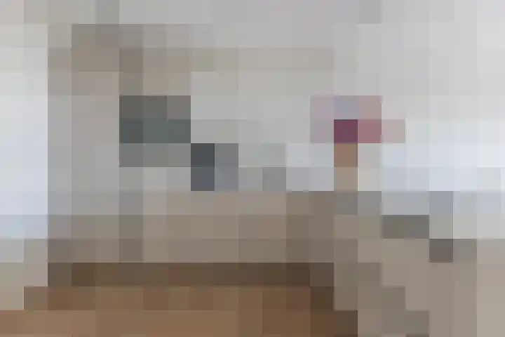 Sandenburg 249 Haarlem thumbnail 15